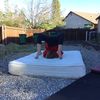 gymnasticsgang05