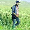 welat_parez65