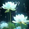 .phuong28