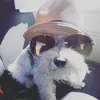 dixiypaola