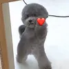 poopycinnamon
