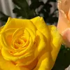 23_sh0023