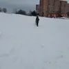 matilda_141