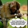 gbale_96