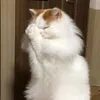 nubnd