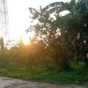 Ncang2324