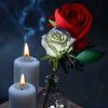 lidriz71