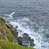 lissy_746