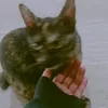 itayunitaaa