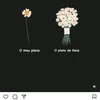 alessandrapaiva24