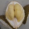 habibiaditya93
