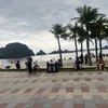 klamduocnhunghuadc