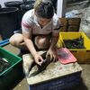 prising_farm