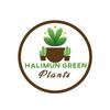 Halimun Green Plants