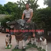 dieukhactuongquachhuynh