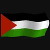 savepalestine911