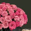 virgogirl1289