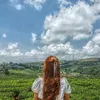 trasua_50_duong