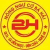 Nông Ngư Cơ Bá Hải