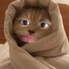 hwan_939
