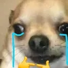 csatdwagdf