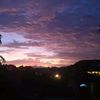 scorpions_11_14