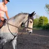 daisywallden_eq