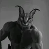 ppizpak