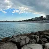 delficapriotti