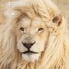 emin343444