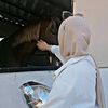 mayar.zarour66
