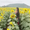 hoanguyen81_