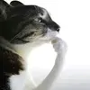 closeyoureyessi