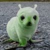 lpschihuahua1