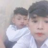 navit219