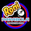 roni_parabola