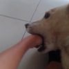 lqcusyxz