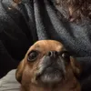 thisisskinofakillerbell4
