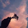 mailingh_1