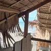 depressiontropical