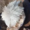 funnyhoang
