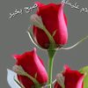 nainagee60