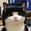 primschh