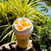gaocoffee_tea