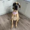 riannareax