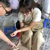 kim_18tui