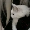 iddidinanahhaahhayyyimyr
