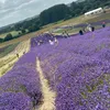 maryam_islam07