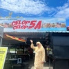 celopcelop5a