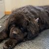 buckybadgernewfy